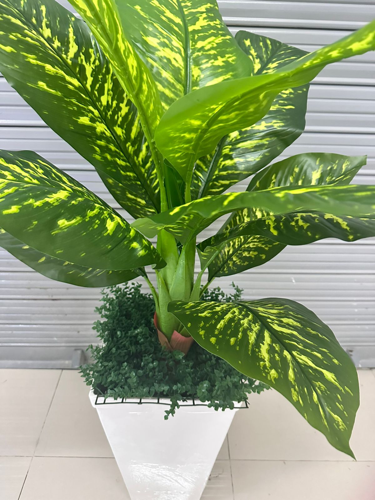 Planta de Lluvia de Plata Artificial de 140cm con Maceta de Trupán